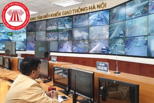Pháp luật