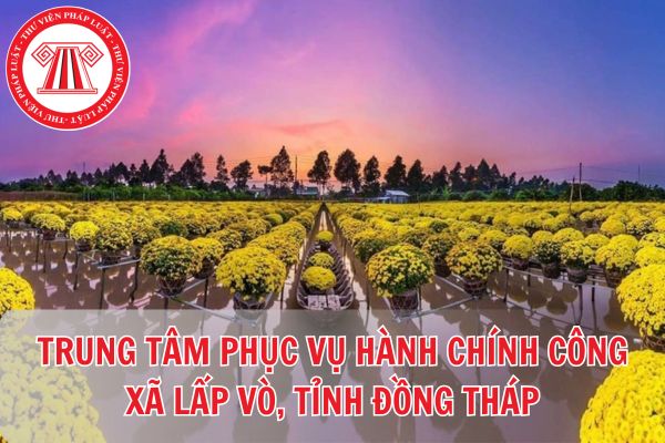 Pháp luật