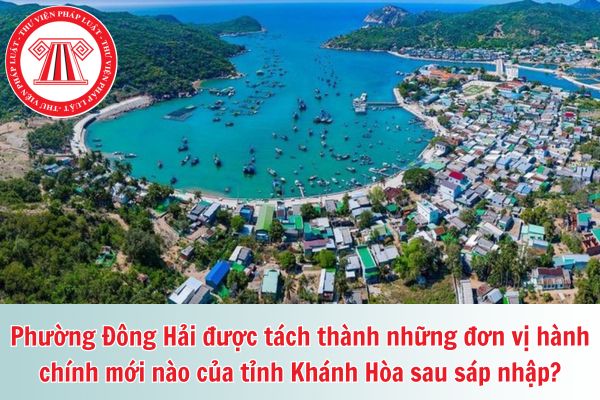 Pháp luật