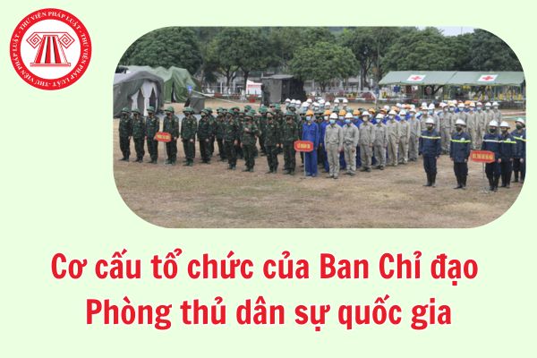Pháp luật