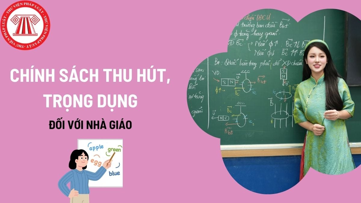 Pháp luật