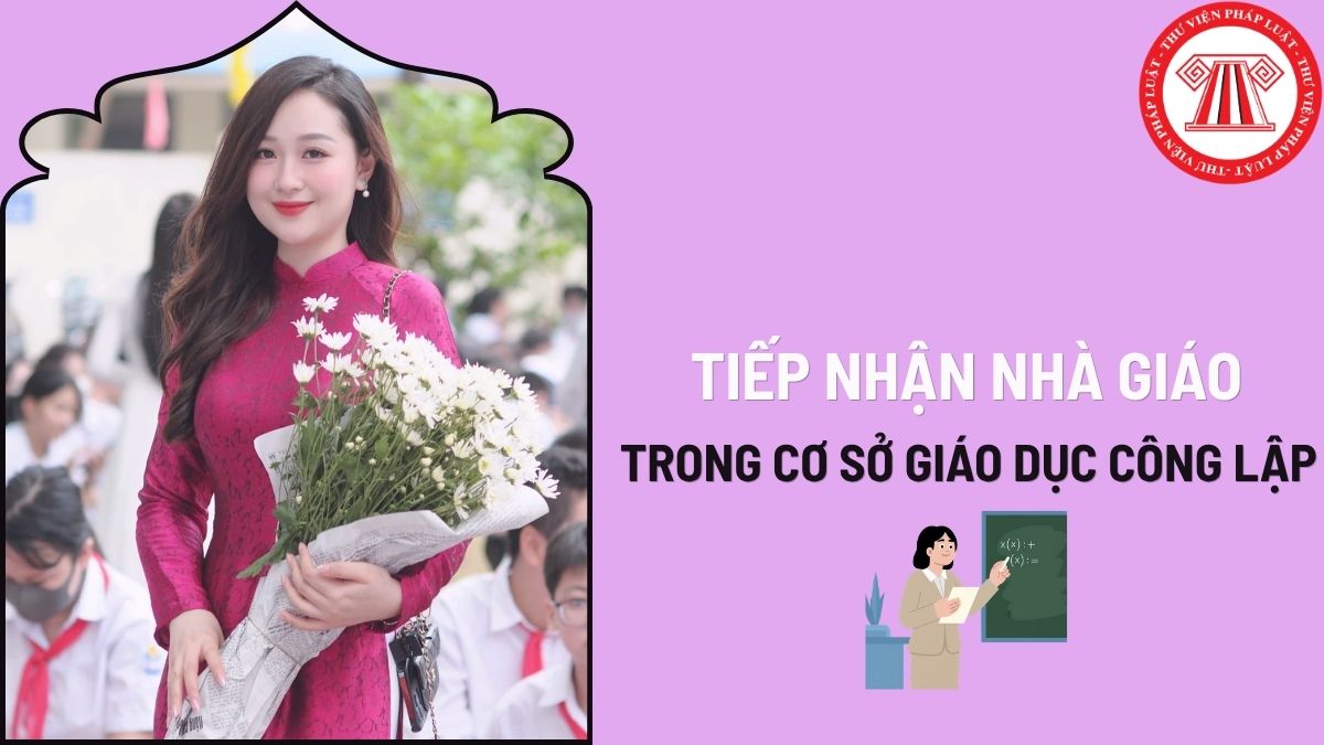 Pháp luật