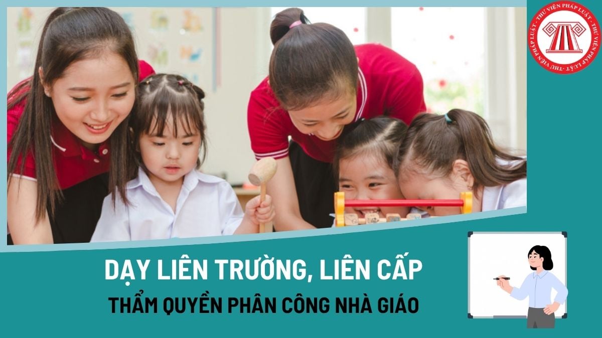 Pháp luật