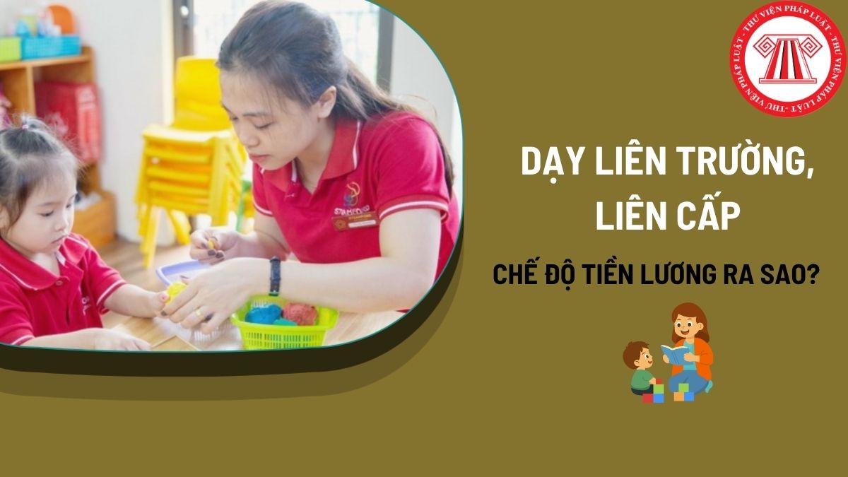 Pháp luật