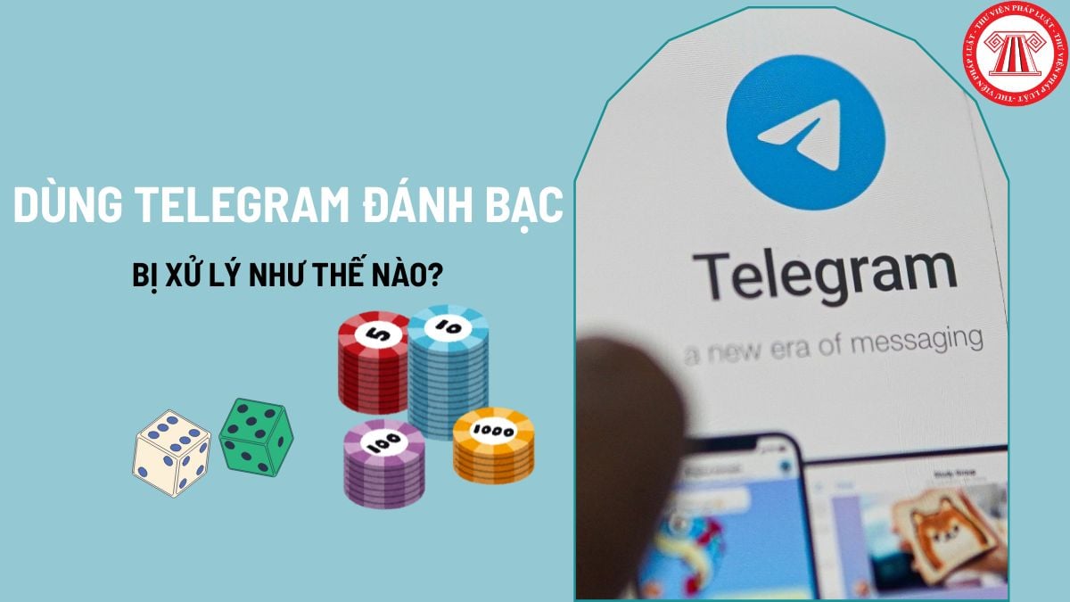 Pháp luật