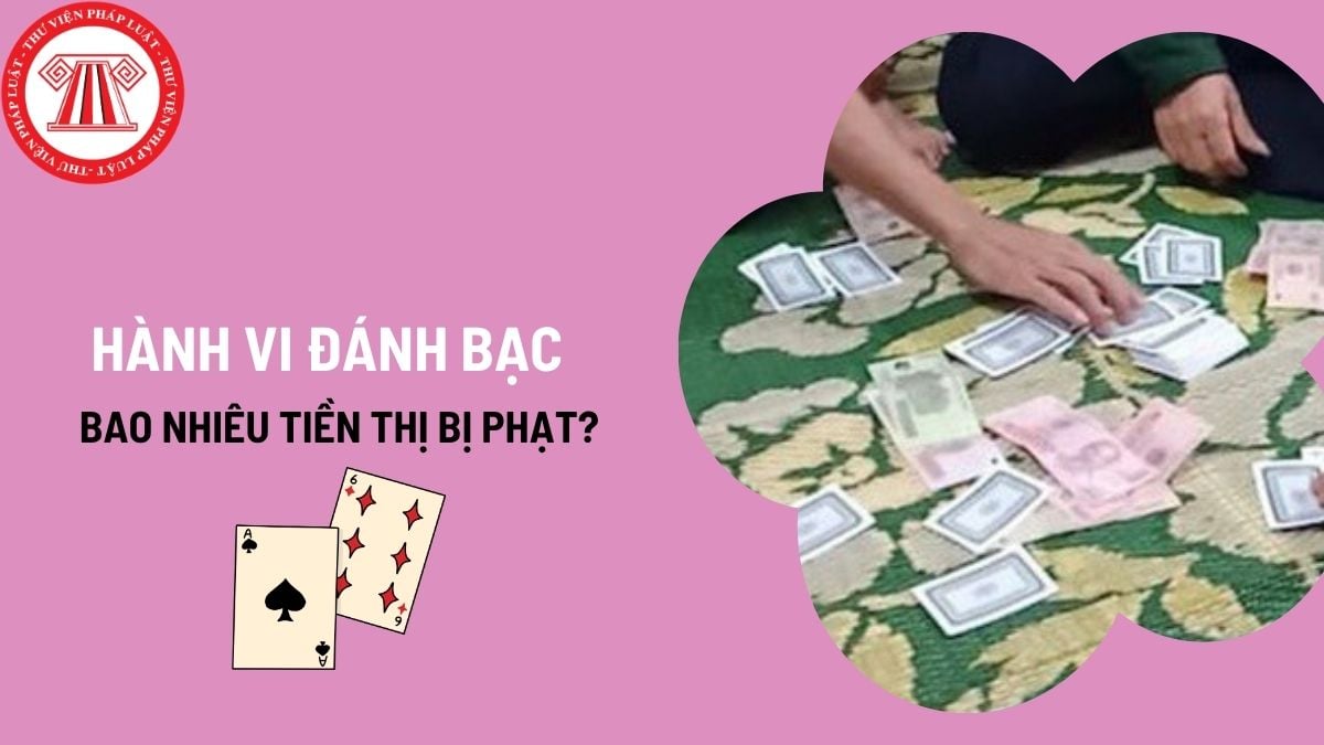 Pháp luật