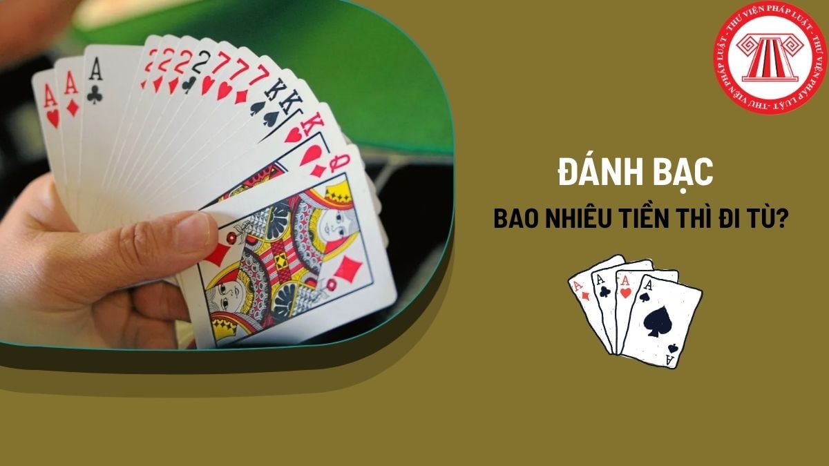Pháp luật