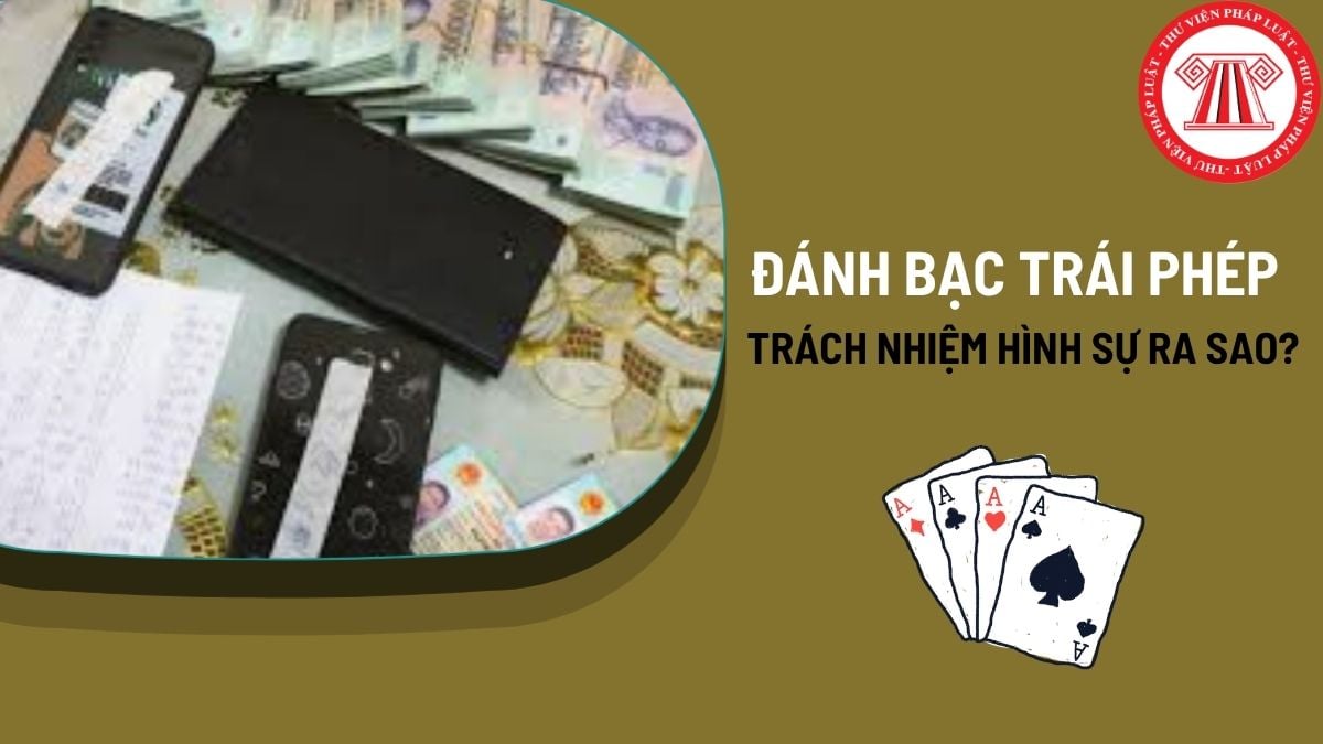 Pháp luật