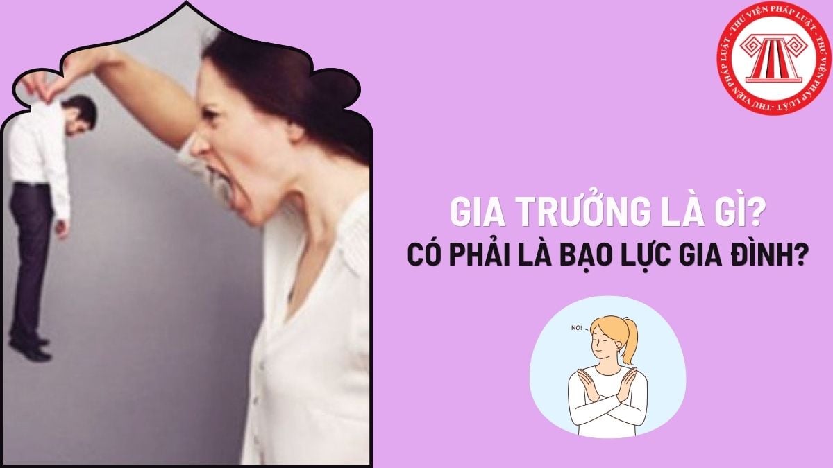 Pháp luật