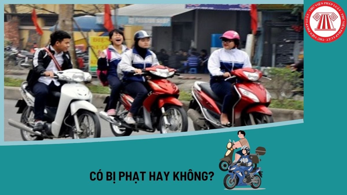 Pháp luật