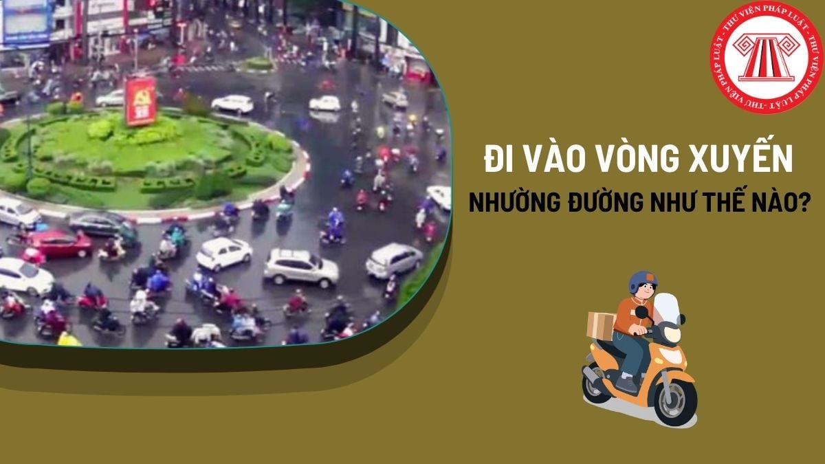 Pháp luật