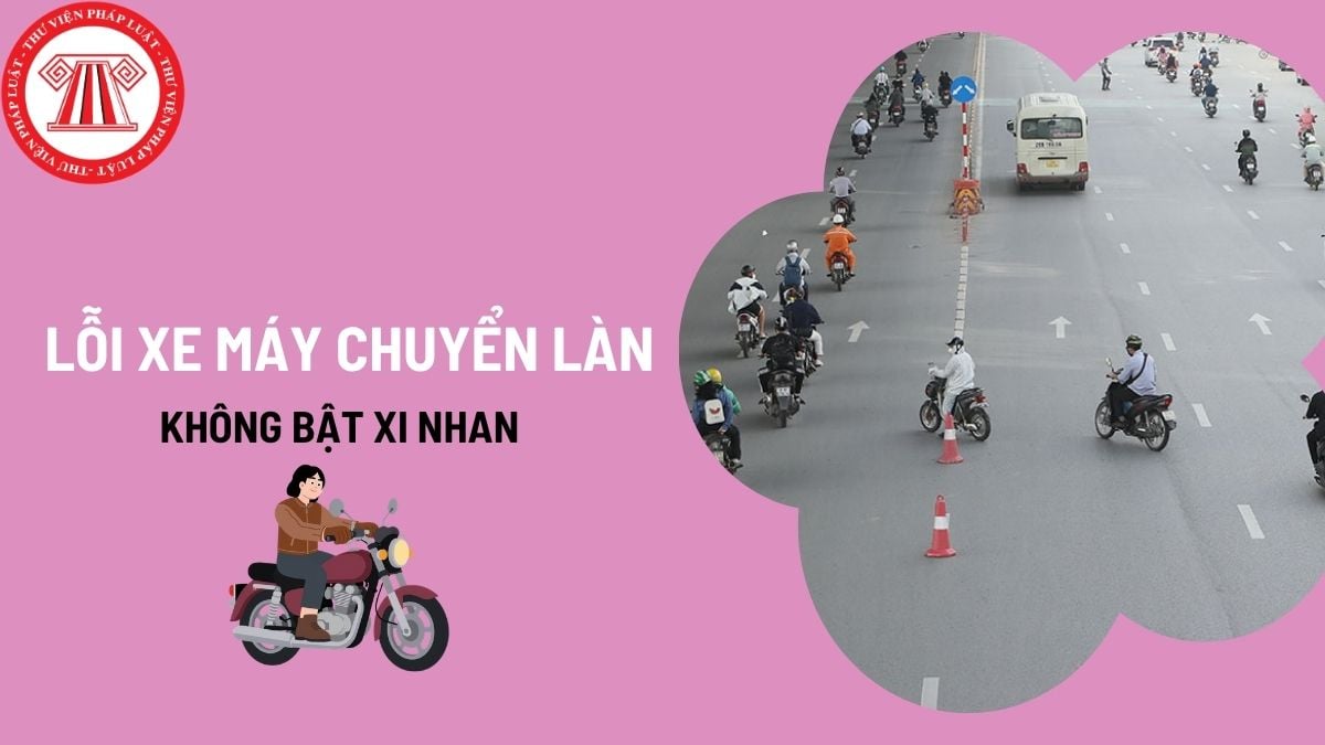 Pháp luật