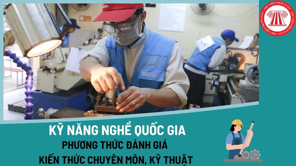 Pháp luật