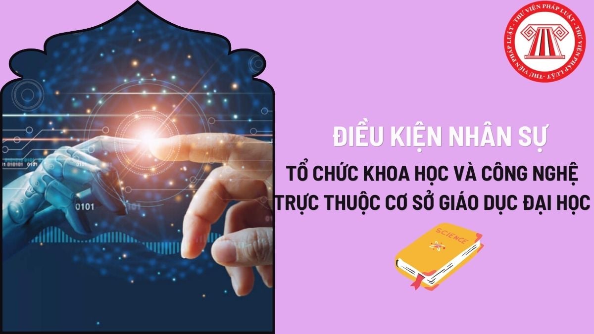 Pháp luật
