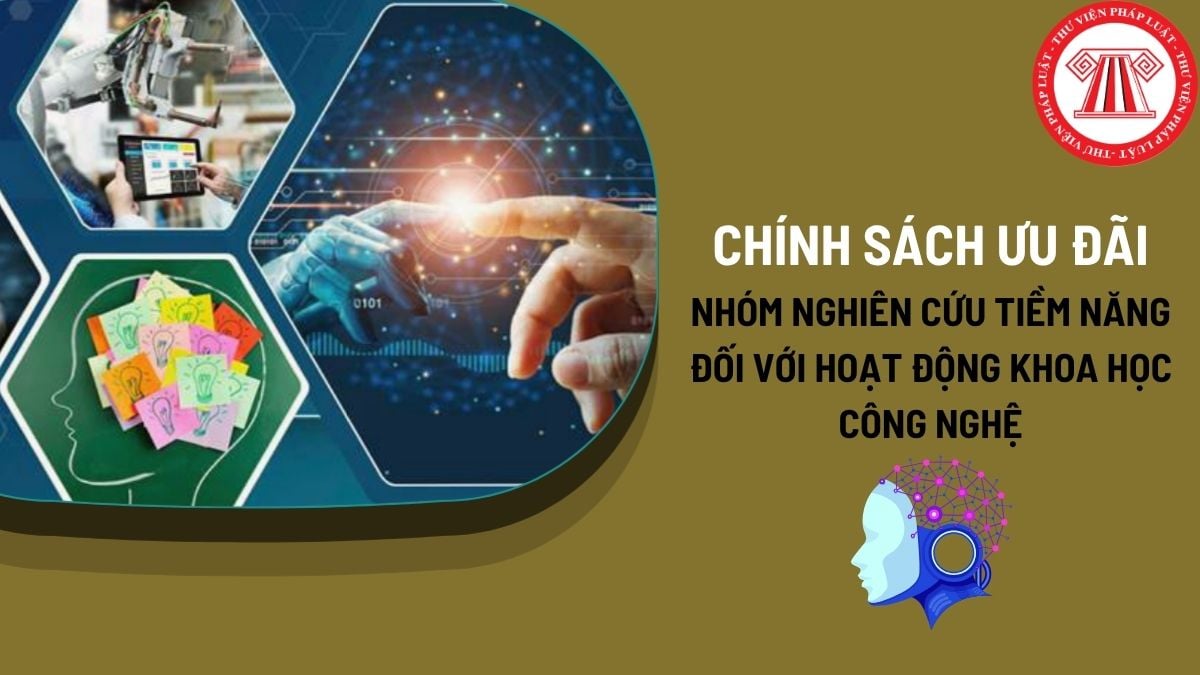 Pháp luật