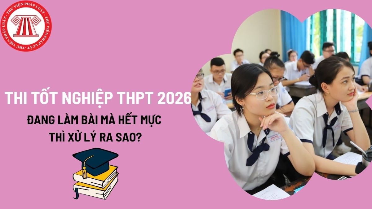 Pháp luật