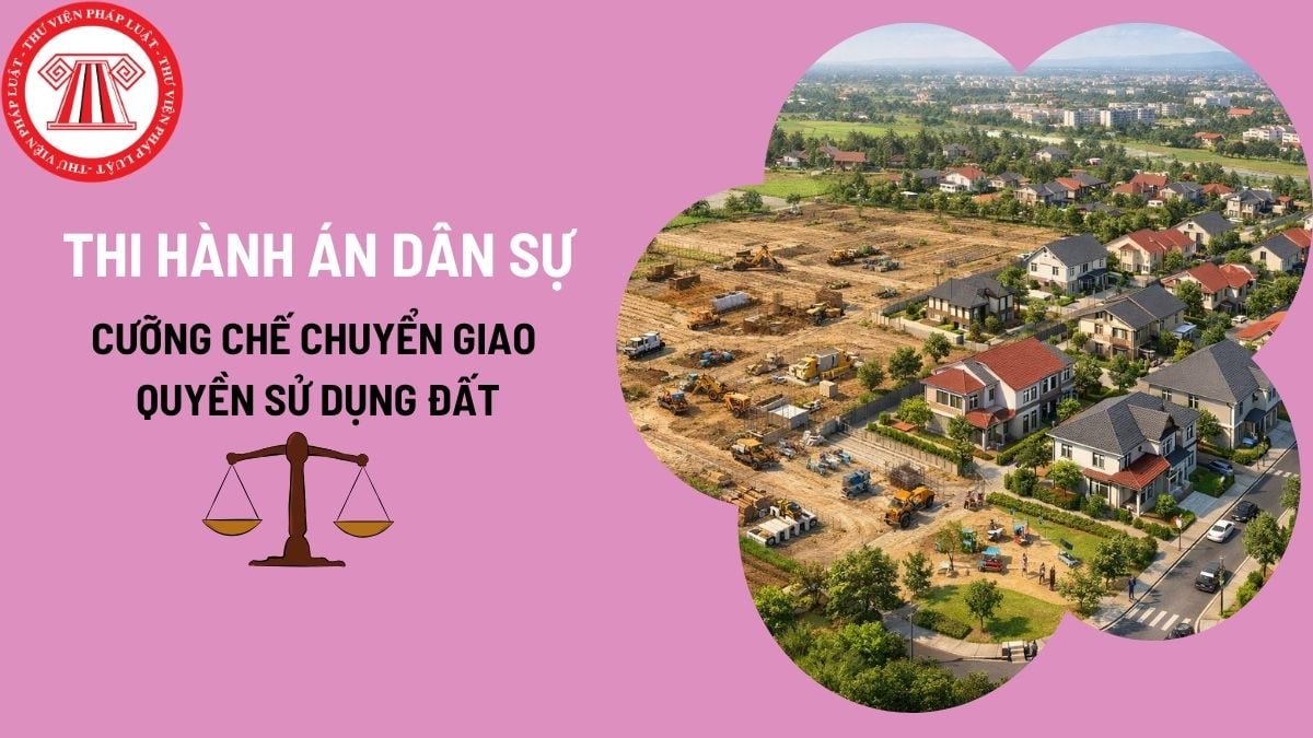 Pháp luật