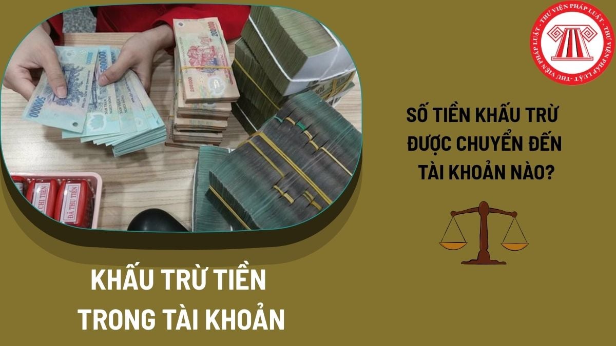 Pháp luật