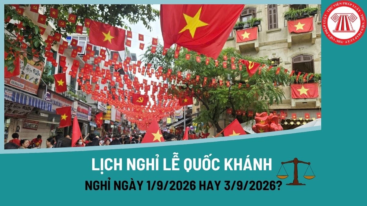 Pháp luật