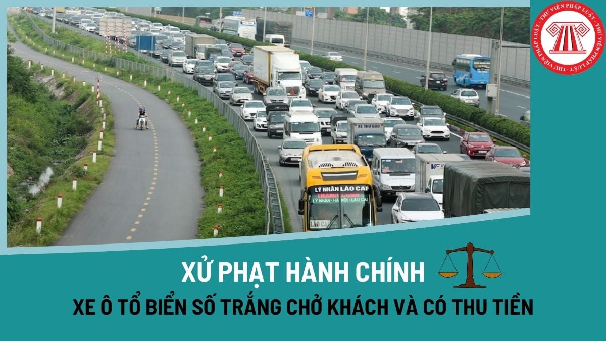 Pháp luật