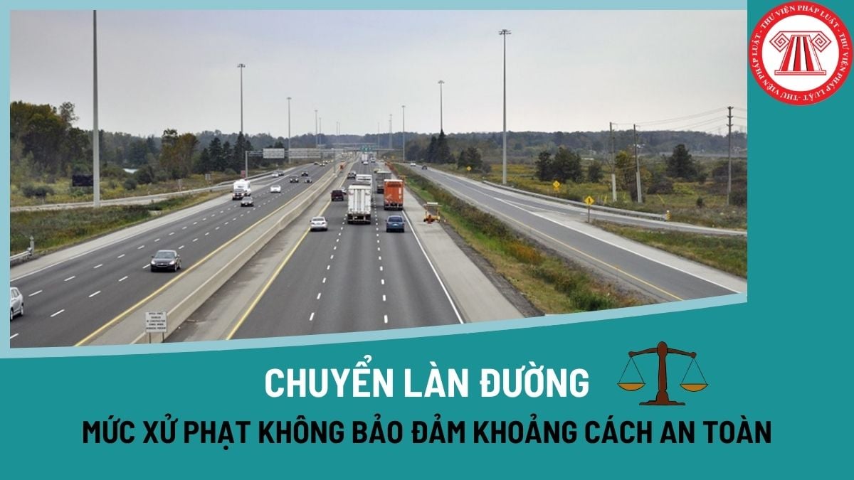 Pháp luật