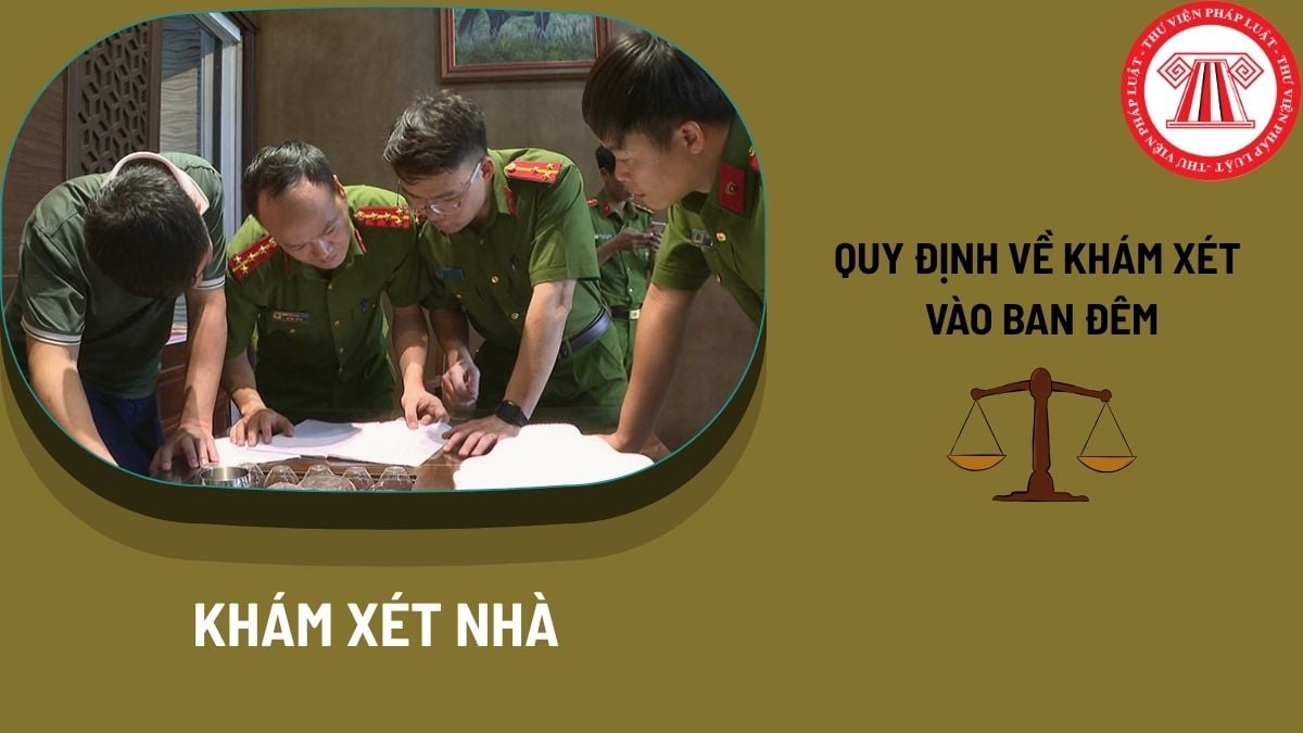 Pháp luật