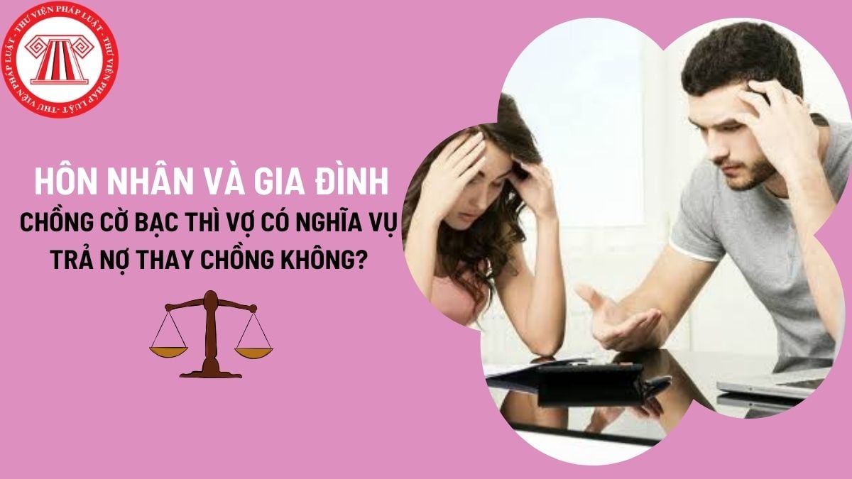 Pháp luật
