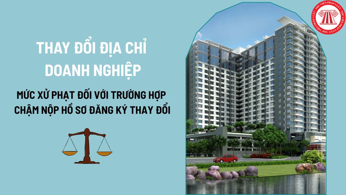 Pháp luật