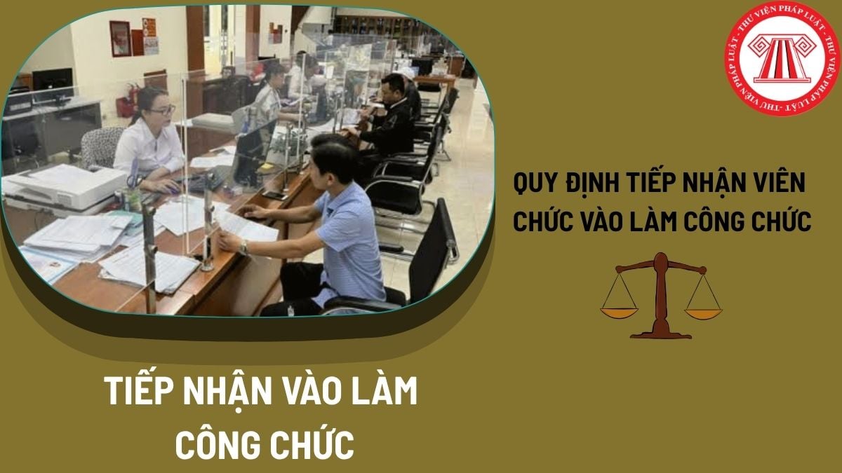 Pháp luật