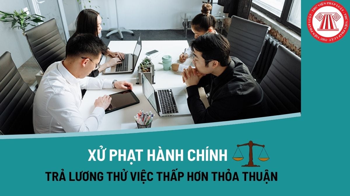 Pháp luật