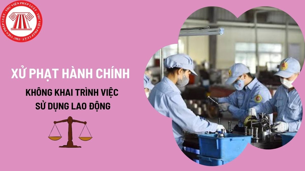 Pháp luật