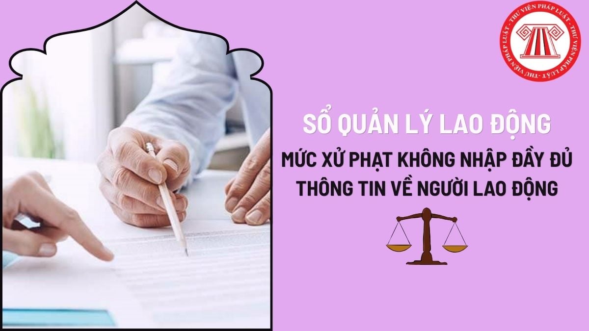 Pháp luật
