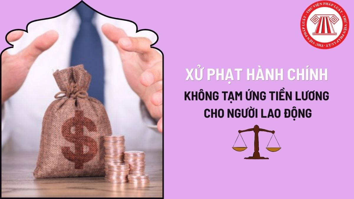 Pháp luật