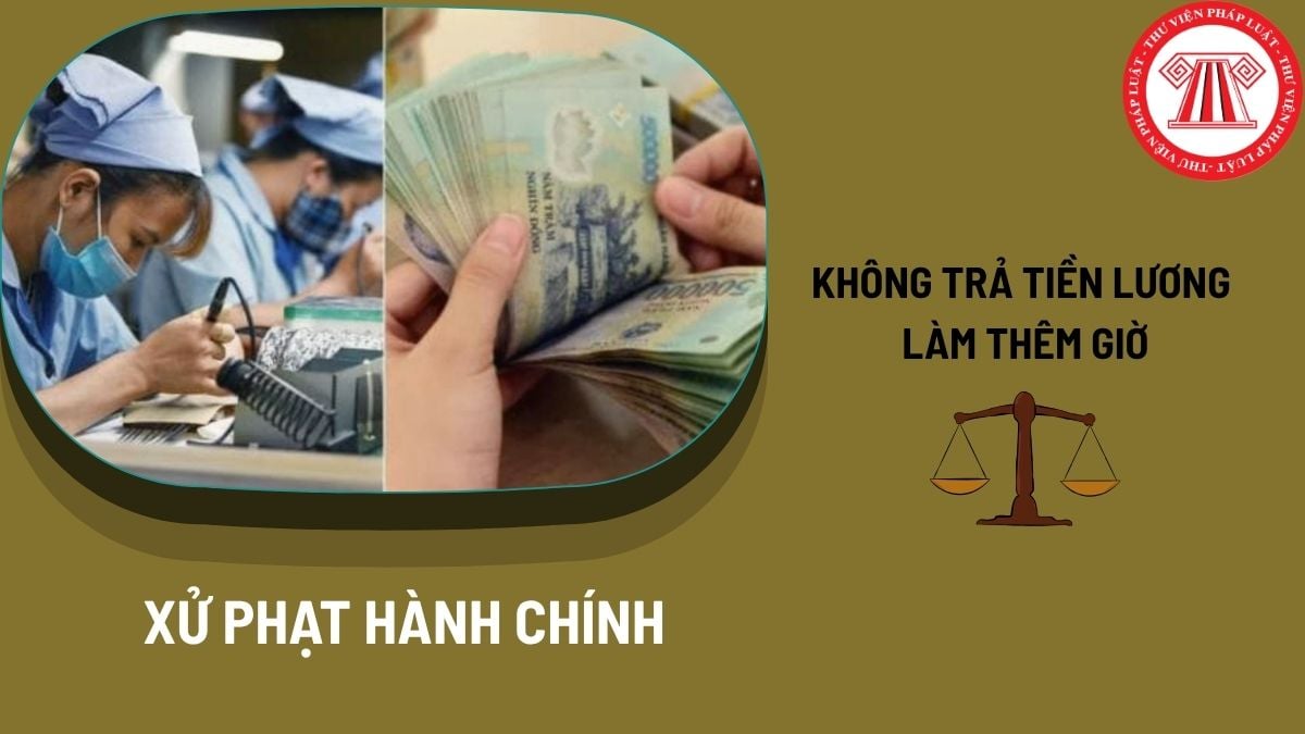 Pháp luật