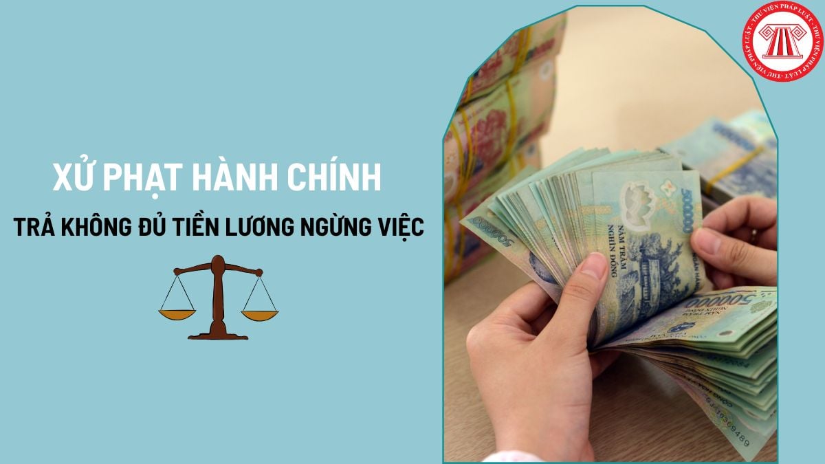 Pháp luật