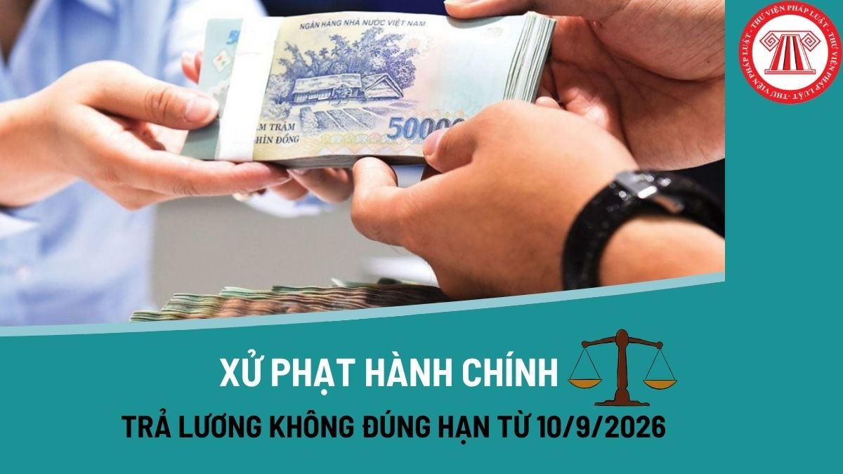 Pháp luật