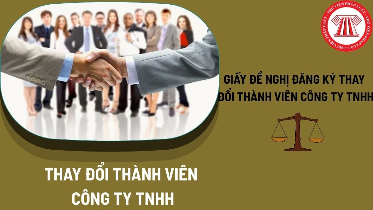 Pháp luật