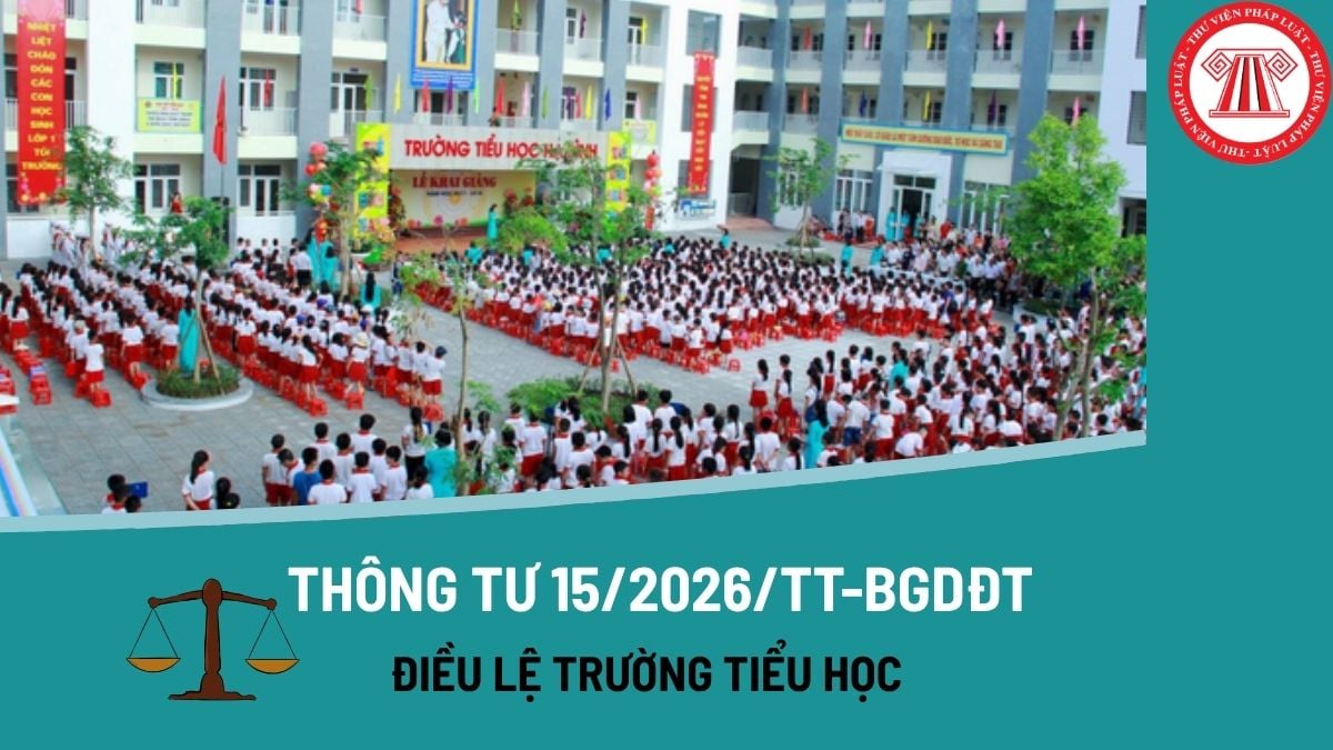 Pháp luật