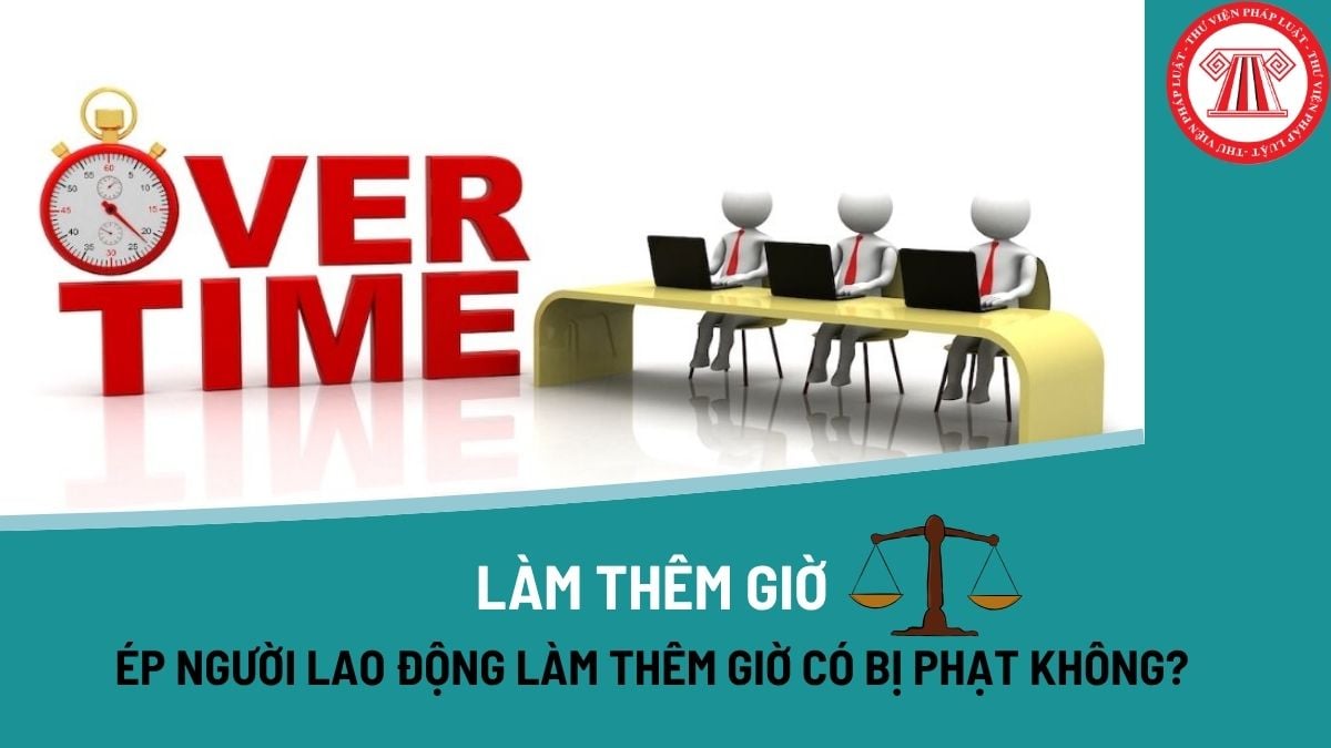 Pháp luật