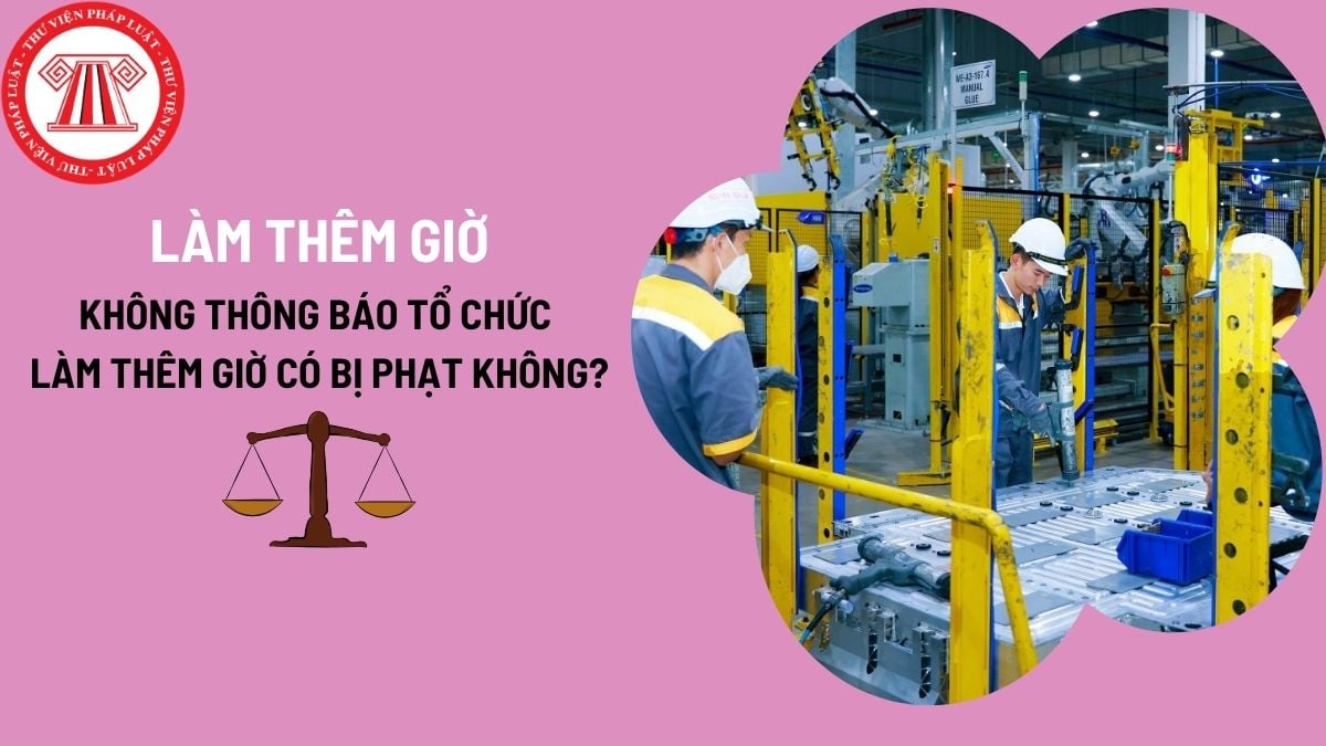 Pháp luật