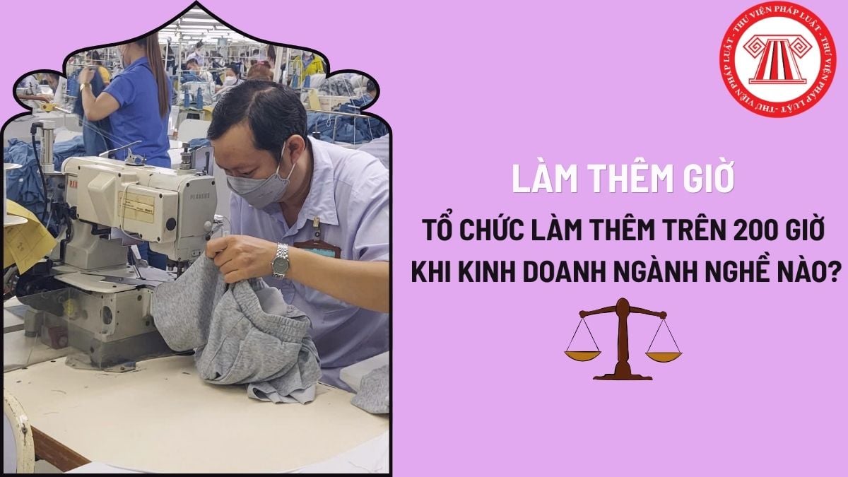 Pháp luật