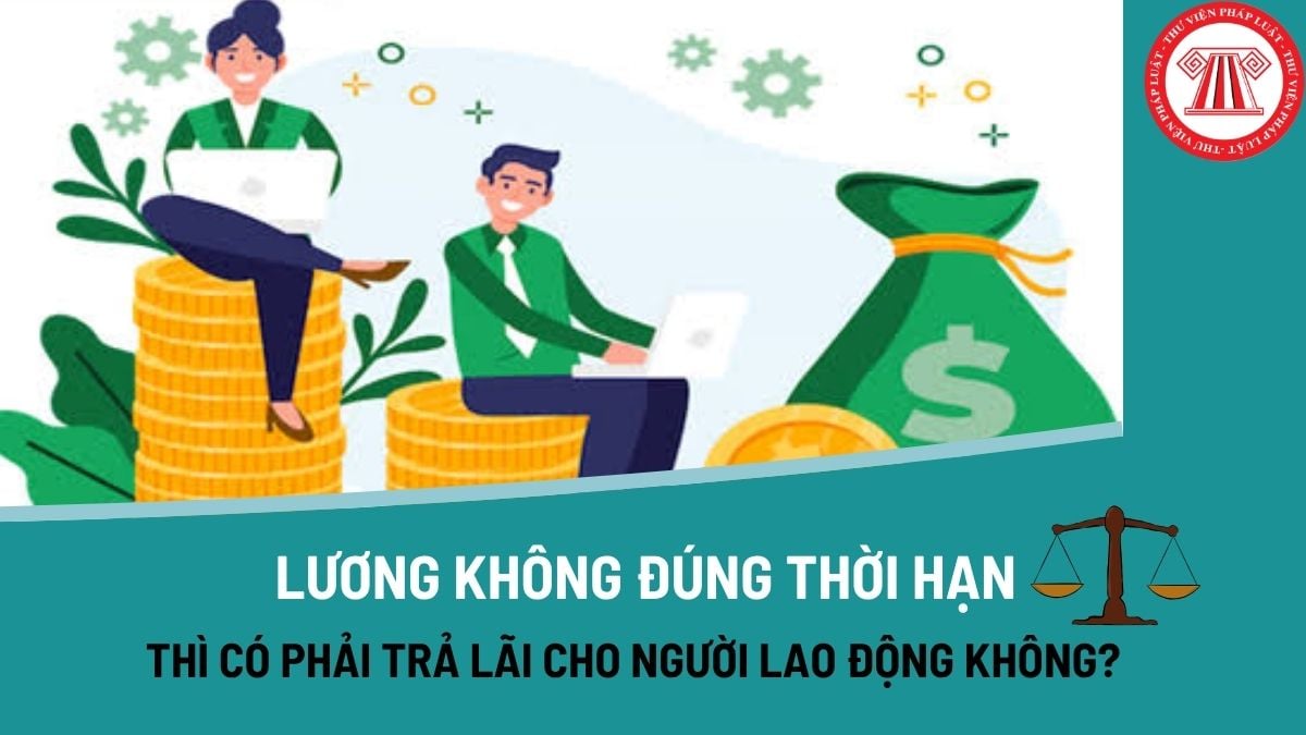 Pháp luật