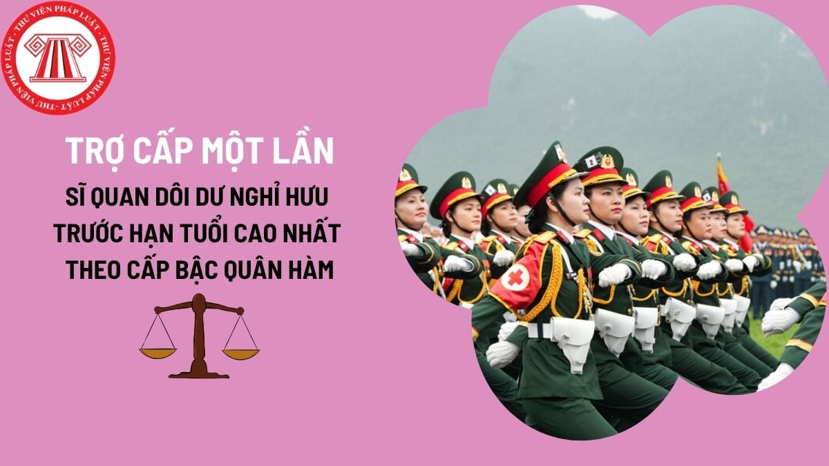 Pháp luật