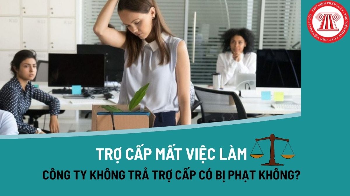 Pháp luật