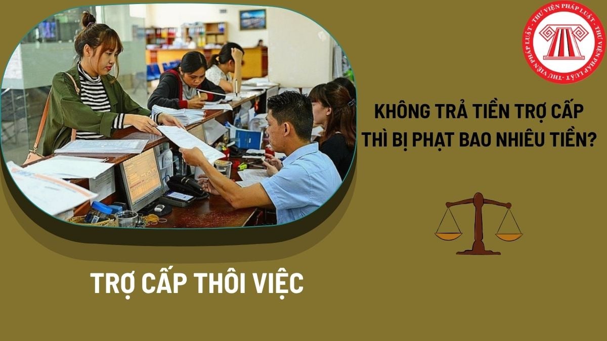 Pháp luật