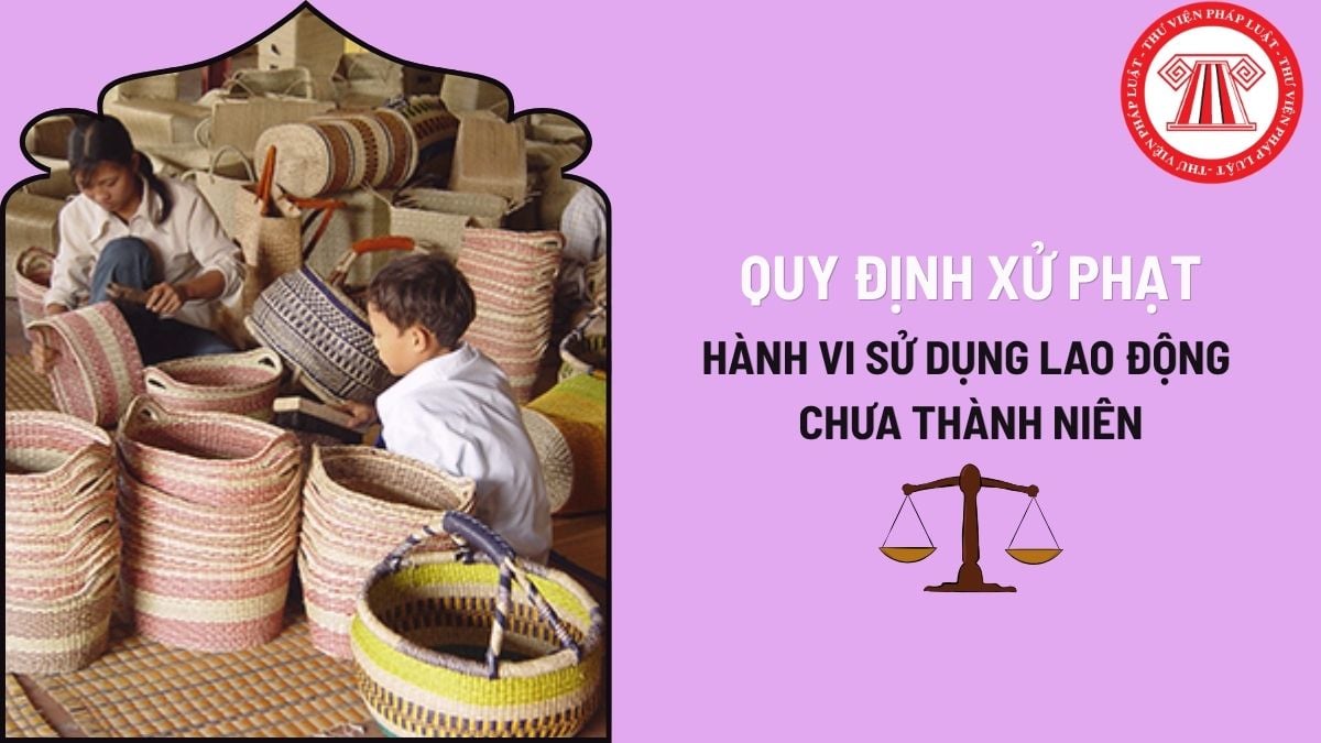Pháp luật