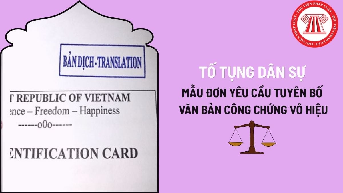 Pháp luật