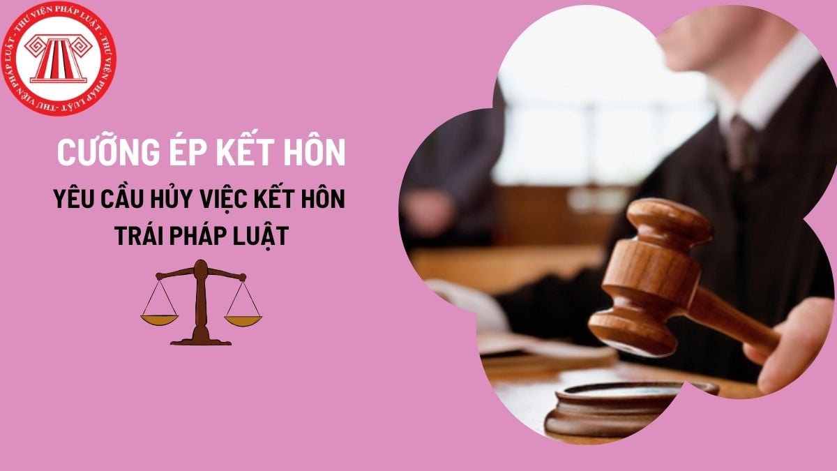Pháp luật