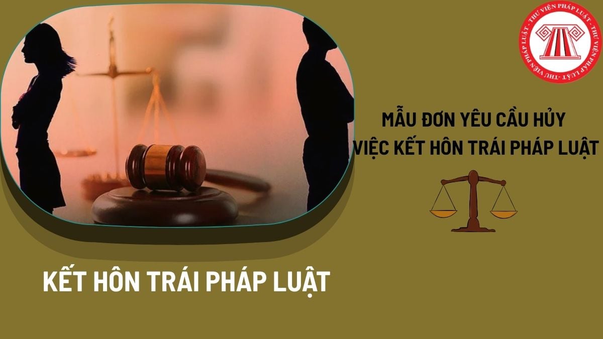 Pháp luật