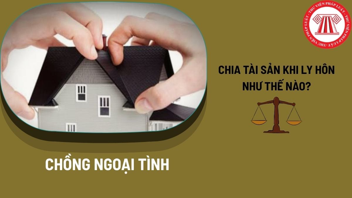 Pháp luật